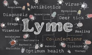Lyme disease can be detected early by urine test: New study