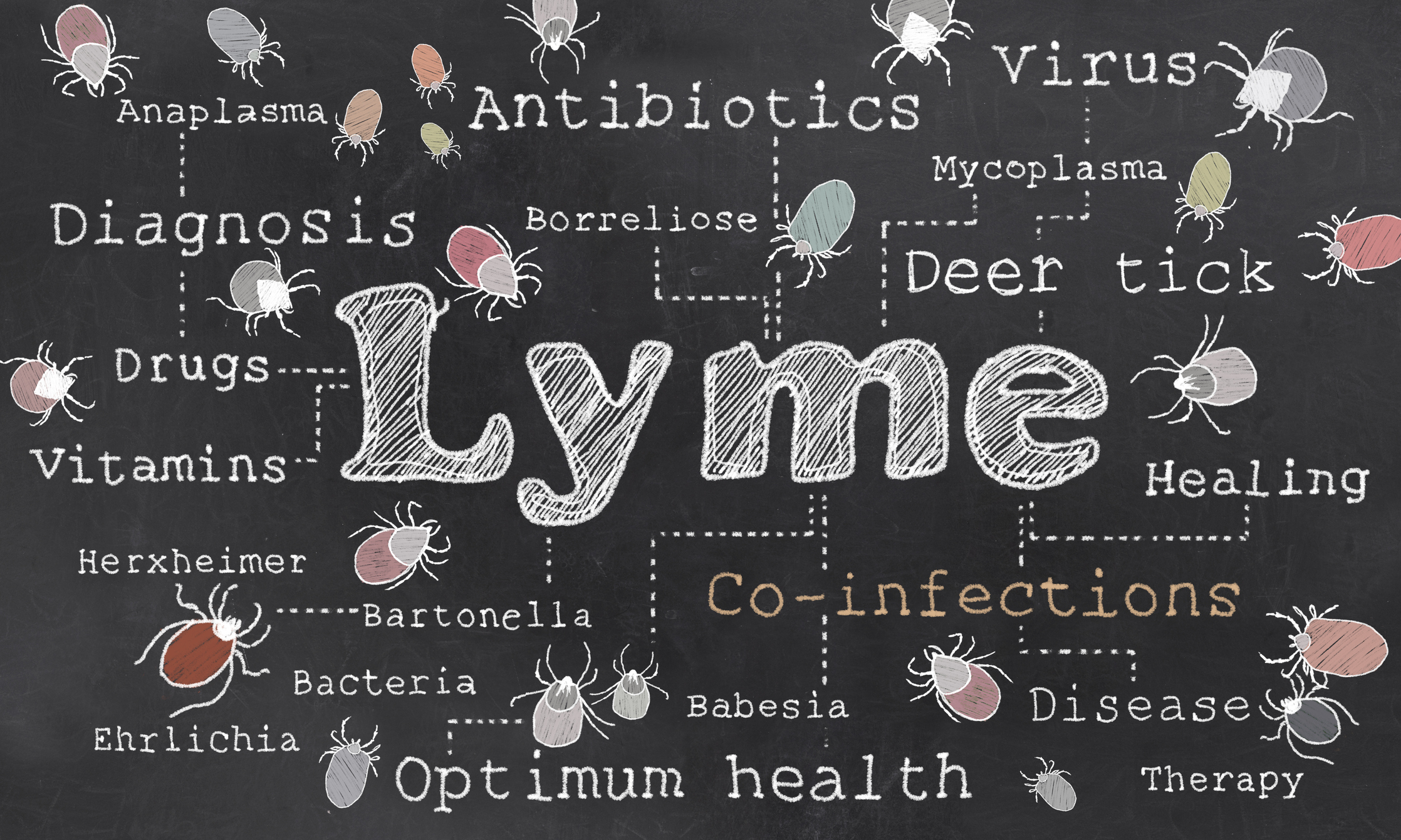 Lyme disease can be detected ear...