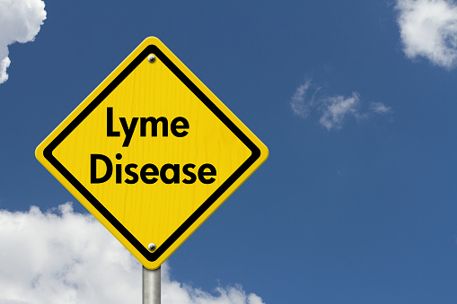 Lyme disease-induced inflammatio...