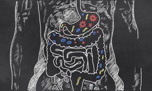 Multiple sclerosis child patients show higher levels of pro-inflammatory gut bacteria: Study