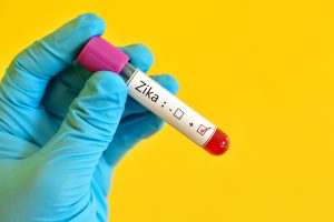 Zika virus detection with low-cost rapid method