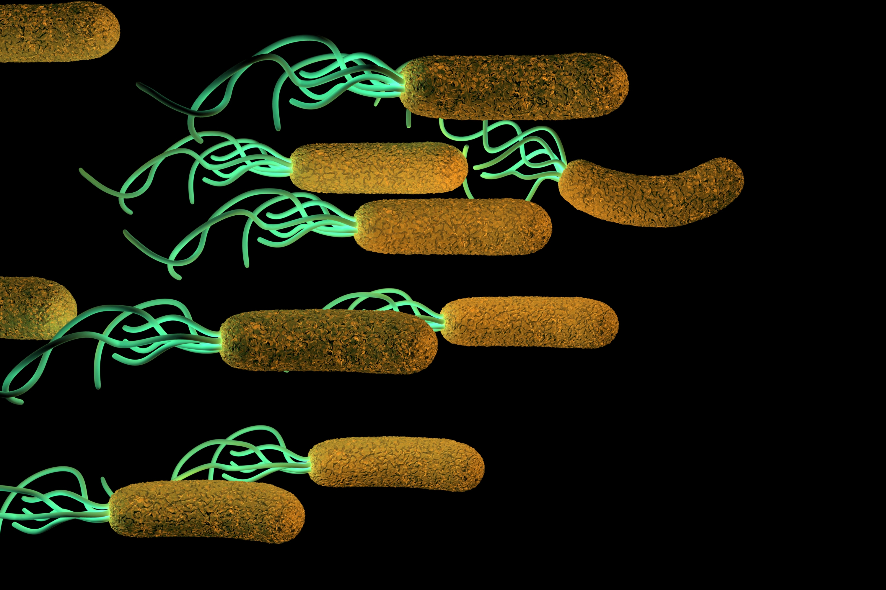Multiple sclerosis risk in women...