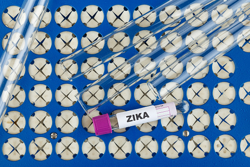 Zika virus update 2016: Scientis...