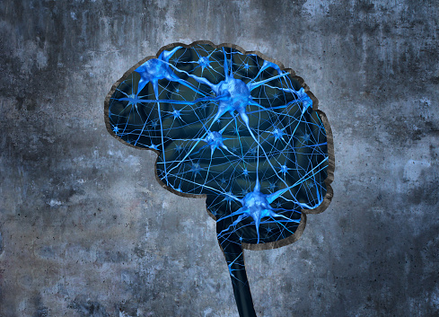 Alzheimer’s and Brain Awareness ...