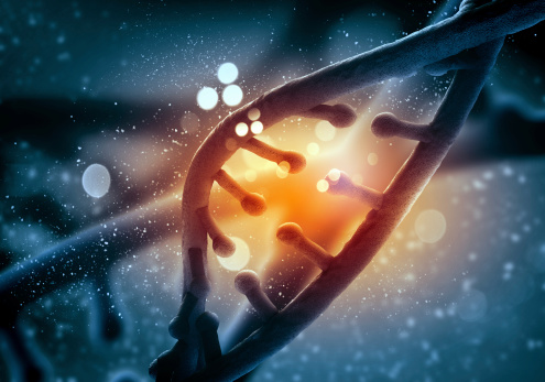 New colon cancer genes discovere...