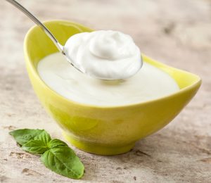 Inflammatory bowel disorders alleviated by protein from bacteria in yogurt and dairy products: Study