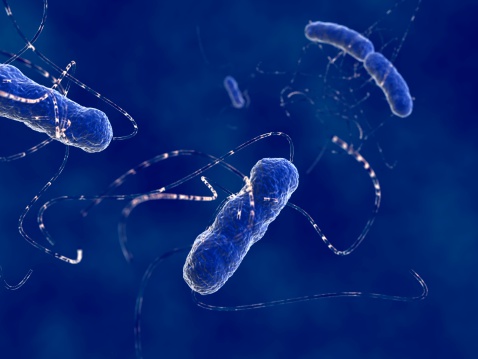 E.coli outbreak update 2016: Out...