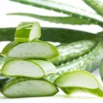 how to get rid of scabies aloe vera