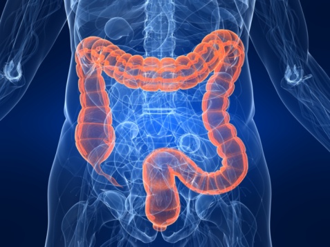 IBS vs. IBD: Causes, symptoms, r...