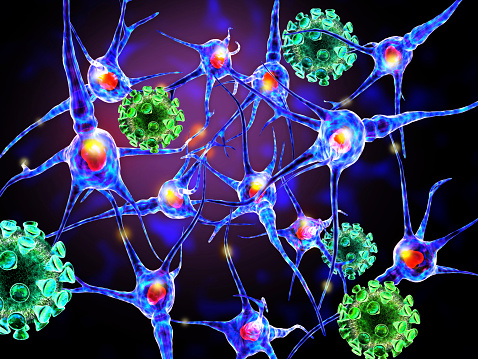 Multiple sclerosis, other autoimmune diseases may be prevented with new plant-derived drug: Study