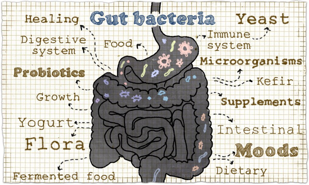 In Crohn’s disease, variants prevent ‘good’ gut bacteria from