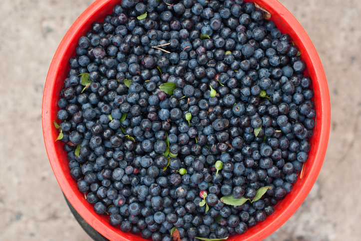 LDL cholesterol levels and cardi...