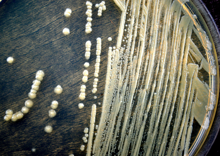 These 4 things are putting your ...