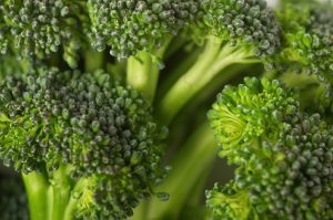 Broccoli may help protect against NAFLD and liver cancer: Study