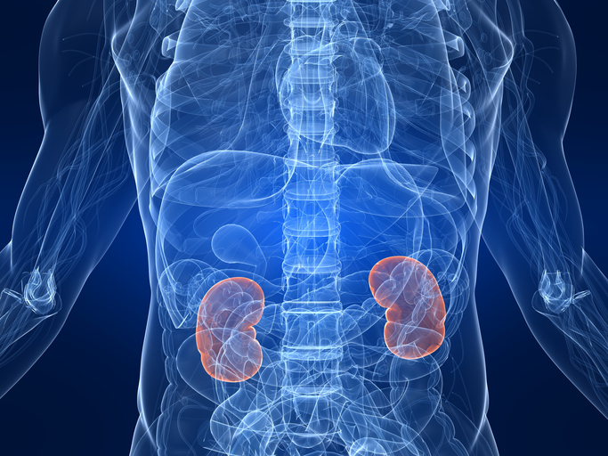 Renal artery stenosis in seniors...