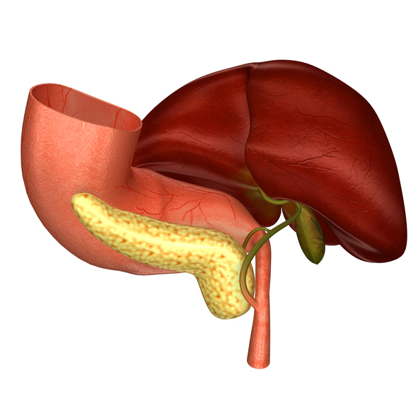 Bile function and liver: Foods t...