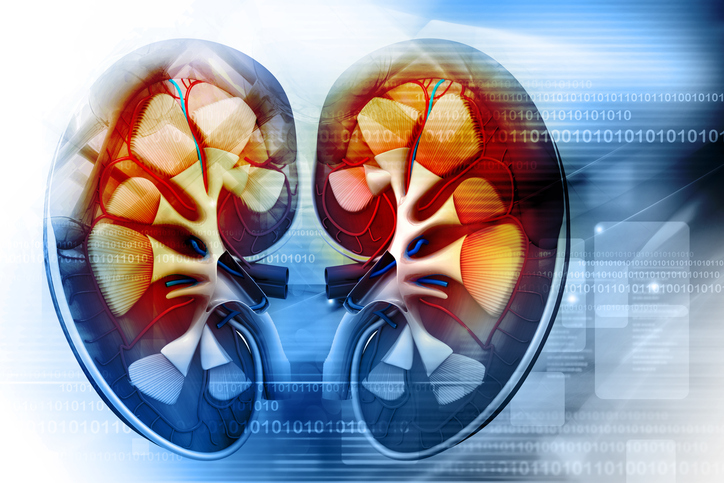 chronic kidney disease stages and treatment