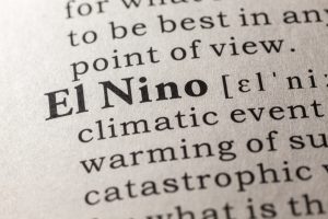 Lyme disease cases may rise as a result of El Nino