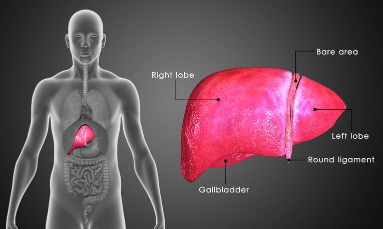 NAFLD progression to fibrosis an...