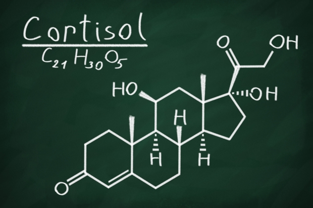 Adrenal fatigue: Causes, Symptom...