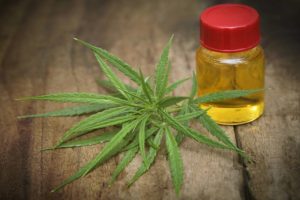 Severity and frequency of epileptic seizures can be lowered with cannabidiol oil