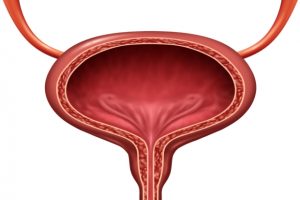 Bladder dysfunction can be improved with therapeutic intervention on transient contractions in the bladder