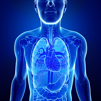 CT scans may help personalize tr...