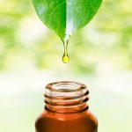 Essential oils for aging skin: Preventing & treating wrinkles naturally