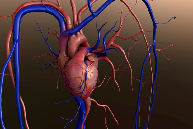 Heart valve disease diagnosis, t...
