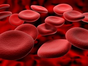 hemoglobin-leak-linked-to-brain-shrinkage-in-multiple-sclerosis