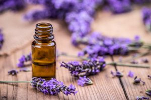lavender-essential-oils-for-sleep