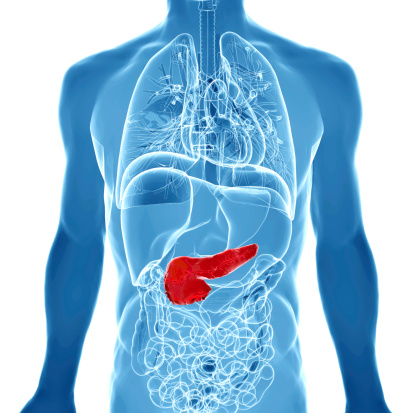 Can you live without a pancreas?
