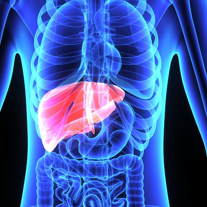 Understanding liver function tes...