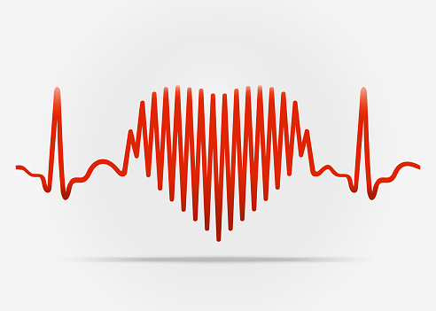 Facts about the heart