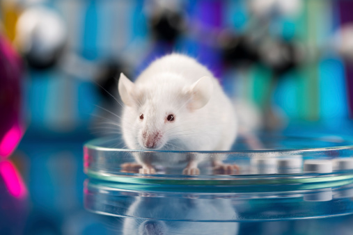 Scientists successfully slow aging