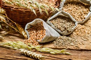 Whole grains may increase metabolism and calorie loss