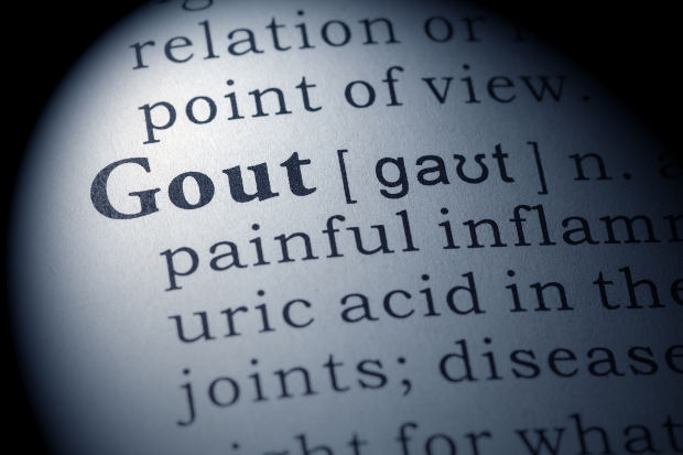 Ketogenic diet may alleviate gout