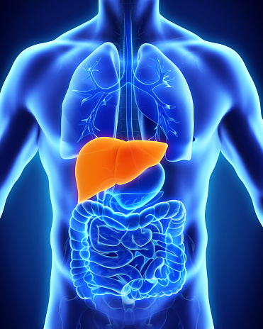 Liver or hepatic cysts: Causes, ...