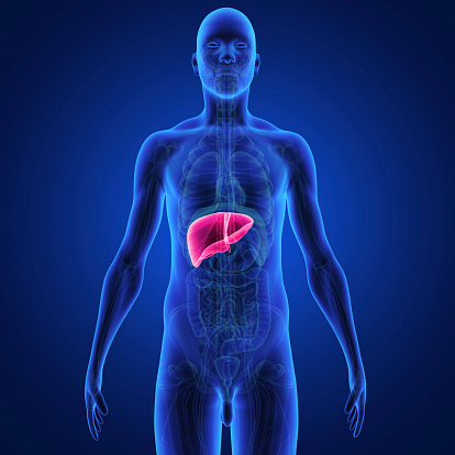 Portal Hypertension: Symptoms, C...