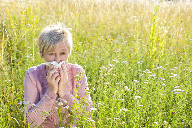 Probiotics may ease allergy symp...