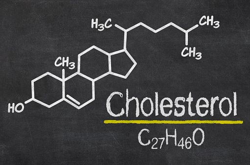Why cholesterol is not as bad as...