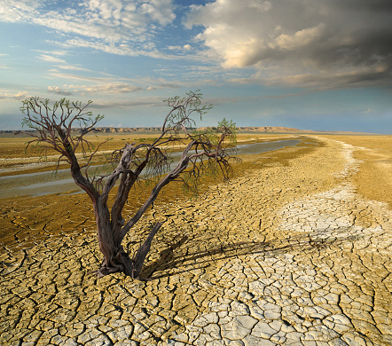 Climate change and droughts affe...