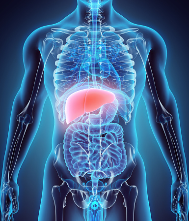 Spring cleaning for your liver