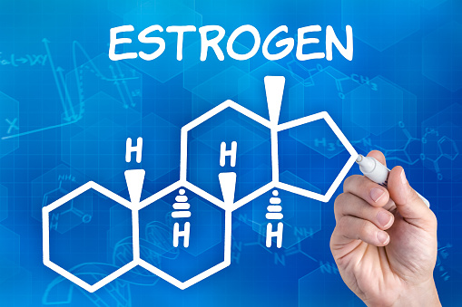 15 foods that increase estrogen ...