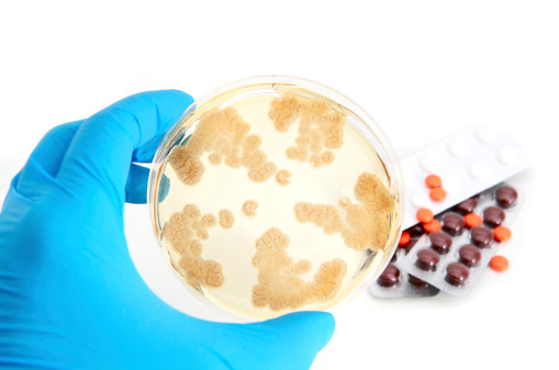 Fungi holds the key to combating...