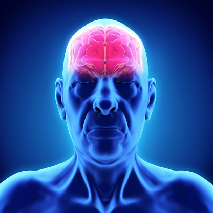 Protein isolated from blood plas...