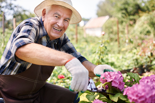 Studies prove that gardening pro...