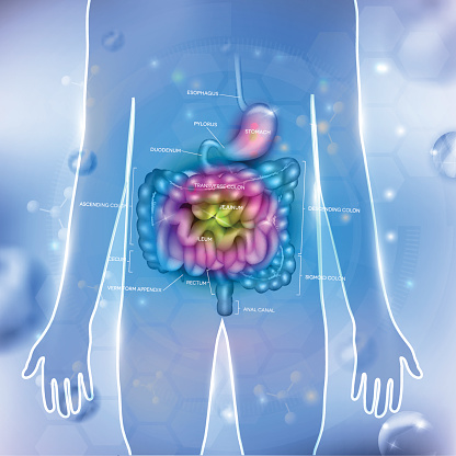 Infectious colitis: Causes, symp...