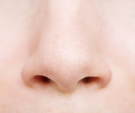 Our noses are helping us survive