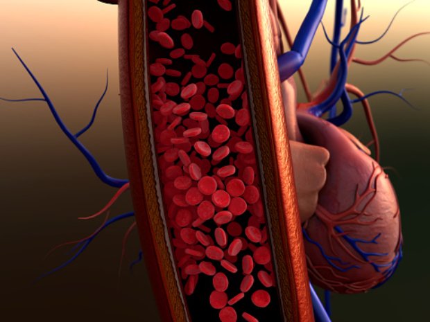 Weekly health news: Poor circula...
